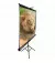 Проекційний екран Elite Screens T120NWV1
