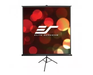 Проекционный экран Elite Screens T100UWV1