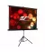 Проекционный экран Elite Screens T100UWV1
