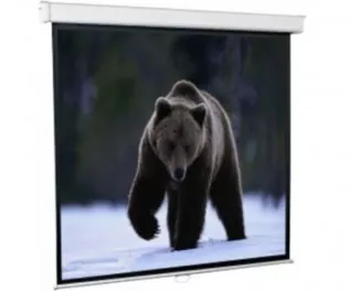 Проекционный экран Redleaf SGM-4302 (171x128)