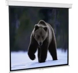 Проекционный экран Redleaf SGM-4303 (203x153)