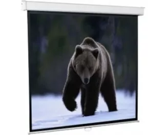 Проекционный экран Redleaf SGM-4303 (203x153)