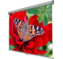 Проекционный экран Walfix SNM-4