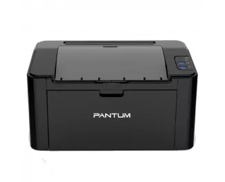 Принтер лазерный Pantum P2507