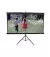 Проекційний екран Elite Screens T136NWS1