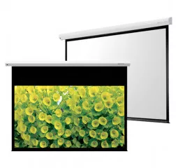 Проекционный экран Grandview CB-P120 (16:9) WM5 (SSW)