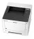 Принтер лазерный Kyocera P2040DN (1102RX3NL0)