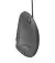 Мышь Trust Verto Ergonomic Mouse (22885)