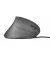 Мышь Trust Verto Ergonomic Mouse (22885)