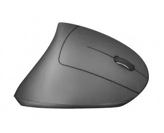 Мышь беспроводная Trust Verto Wireless Ergonomic Mouse (22879)