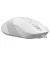 Мышь A4Tech FM10 White USB