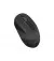 Мышь беспроводная A4Tech FG10 Black/Grey USB