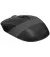 Мышь беспроводная A4Tech FG10 Black/Grey USB