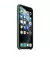 Чохол для Apple iPhone 11 Pro Max Silicone Case Pine green