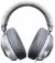 Наушники Razer Kraken Multi Platform (RZ04-02830400-R3M1) Mercury edition