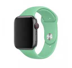 Силиконовый ремешок для Apple Watch 44/45/46 mm Apple Sport Band Spearmint (MV792)