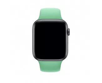 Силиконовый ремешок для Apple Watch 44/45/46 mm Apple Sport Band Spearmint (MV792)
