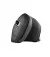 Мышь беспроводная Trust Verro Ergonomic Wireless Mouse (23507)