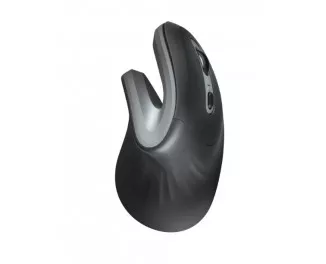 Мышь беспроводная Trust Verro Ergonomic Wireless Mouse (23507)