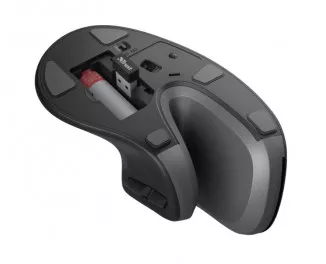 Мышь беспроводная Trust Verro Ergonomic Wireless Mouse (23507)