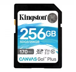 Карта памяти SD 256Gb Kingston Canvas Go Plus C10 UHS-I U3 (SDG3/256GB)