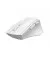 Мышь беспроводная A4Tech FG30S Grey/White USB
