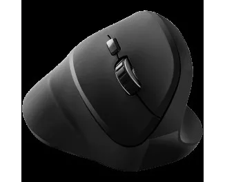 Мышь беспроводная Canyon CNS-CMSW16B