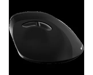 Мышь беспроводная Canyon CNS-CMSW16B