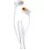 Наушники JBL TUNE 110 (JBLT110WHT) White