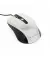 Мышь Gembird MUS-4B-01-BS Black/Silver
