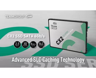 SSD накопитель 256Gb Team CX2 (T253X6256G0C101)