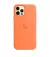 Чехол для Apple iPhone 12 Pro Max  Apple Silicone Case with MagSafe Kumquat (MHL83)