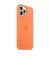 Чехол для Apple iPhone 12 Pro Max  Apple Silicone Case with MagSafe Kumquat (MHL83)