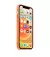 Чохол для Apple iPhone 12 mini Silicone Case with MagSafe Kumquat