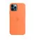 Чехол для Apple iPhone 12 Pro Max  Silicone Case with MagSafe Kumquat