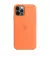 Чехол для Apple iPhone 12 Pro Max  Silicone Case with MagSafe Kumquat