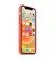 Чехол для Apple iPhone 12 Pro Max  Silicone Case with MagSafe Pink Citrus