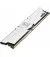 Оперативная память DDR4 32 Gb (3200 MHz) (Kit 16 Gb x 2) Team T-Create Classic (TTCCD432G3200HC22DC01)