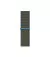 Нейлоновый ремешок для Apple Watch 38/40/41mm Apple Sport Loop Inverness Green (MYA12)