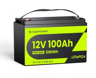 Аккумулятор для ИБП/инвертора CyperOcean LiFePO4 12V 100Ah + BMS (CO12V100AH100)