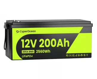 Аккумулятор для ИБП/инвертора CyperOcean LiFePO4 12V 200Ah + BMS (CO12V200AH200)