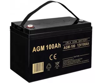 Аккумулятор для ИБП Volt Polska FM 12V 100Ah (6AKUXAG100)