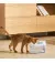 Автоматическая поилка CATLINK AI Water Fountain - Wired