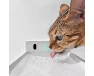 Автоматическая поилка CATLINK AI Water Fountain - Wireless