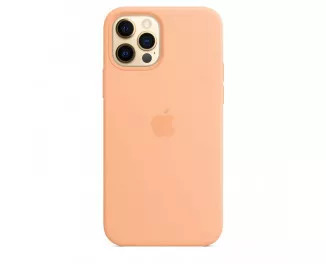 Чехол для Apple iPhone 12 Pro Max  Apple Silicone Case with MagSafe Cantaloupe (MK073)
