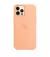 Чехол для Apple iPhone 12 Pro Max  Apple Silicone Case with MagSafe Cantaloupe (MK073)