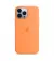 Чехол для Apple iPhone 13 Pro Max  Apple Silicone Case with MagSafe Marigold (MM2M3)