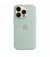 Чехол для Apple iPhone 14 Pro Max  Apple Silicone Case with MagSafe Succulent (MPTY3)