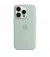 Чехол для Apple iPhone 14 Pro Max  Apple Silicone Case with MagSafe Succulent (MPTY3)