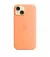 Чохол для Apple iPhone 15 Plus  Apple Silicone Case with MagSafe Orange Sorbet (MT173)